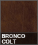 Bronco Colt