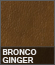 Bronco Ginger