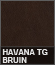Havana TG Bruin